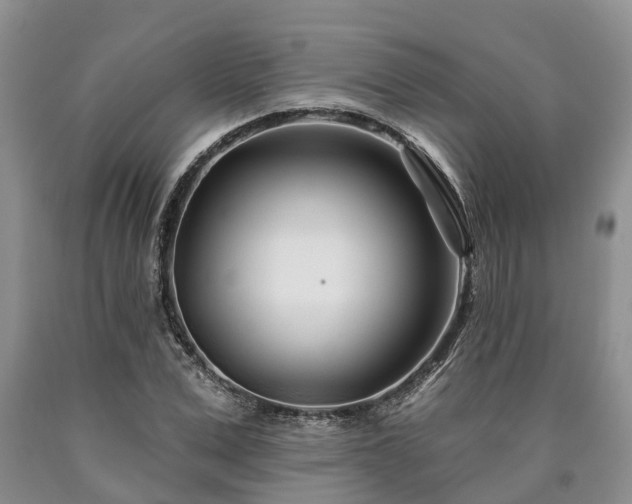 X0000090610975200707241103