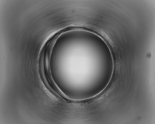 X0000090610976200707241103