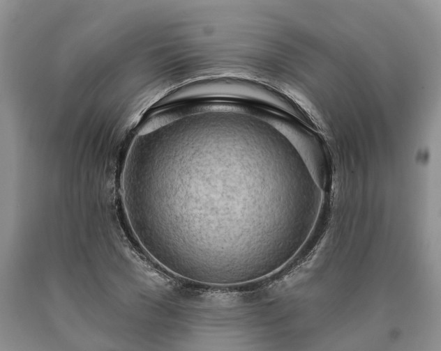 X0000090610977200707241103