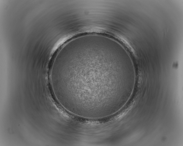 X0000090610978200707241103