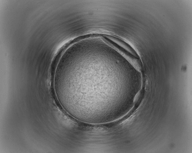 X0000090610979200707241103