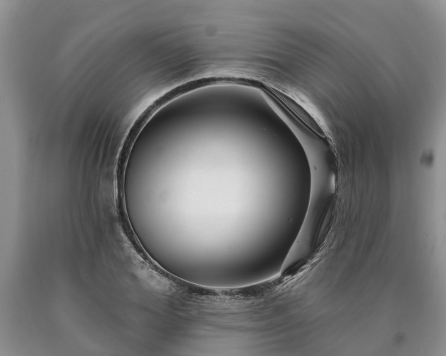 X0000090610980200707241103