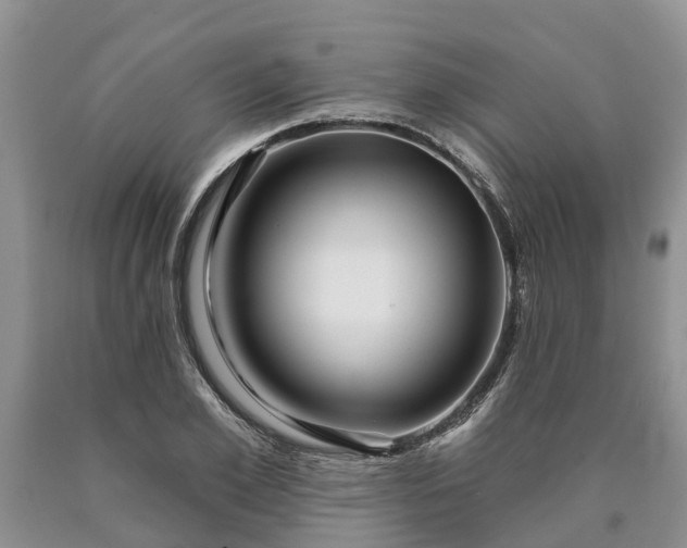 X0000090610981200707241103