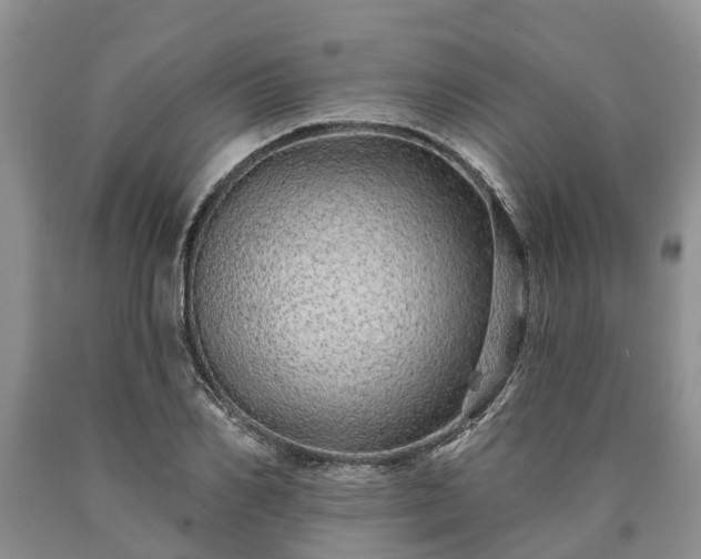 X0000090610982200707241103