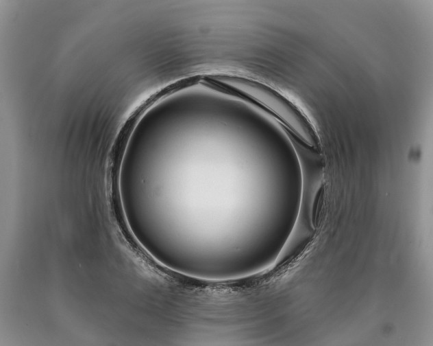 X0000090610983200707241103