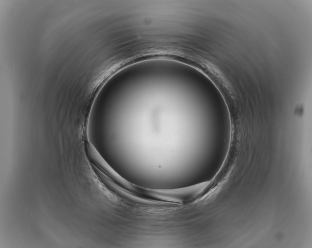 X0000090610985200707241103