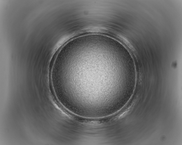 X0000090610986200707241103