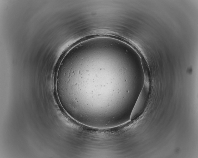 X0000090610987200707241103