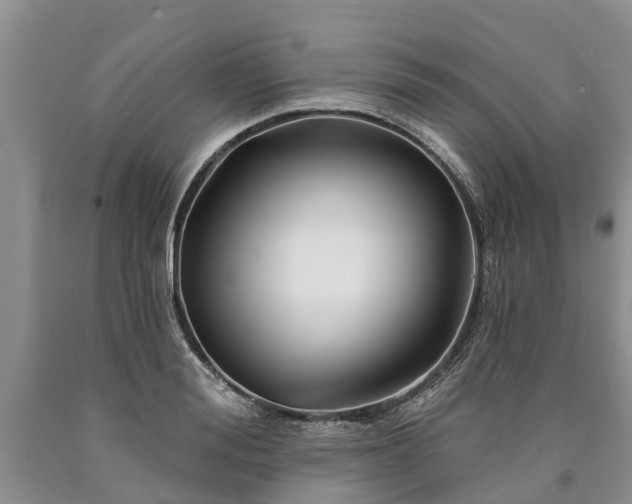 X0000090610988200707241103