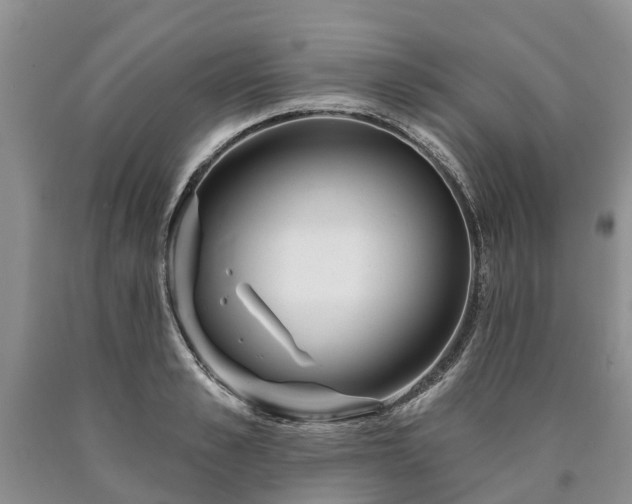 X0000090610989200707241103