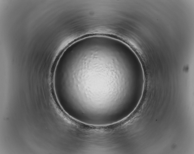 X0000090610990200707241103