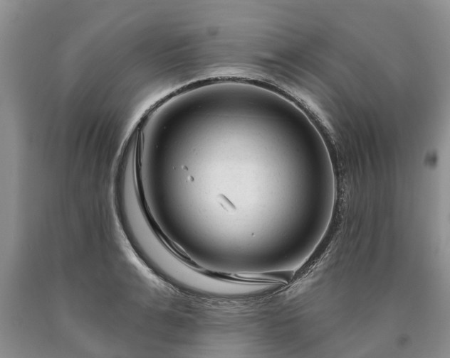 X0000090610991200707241103