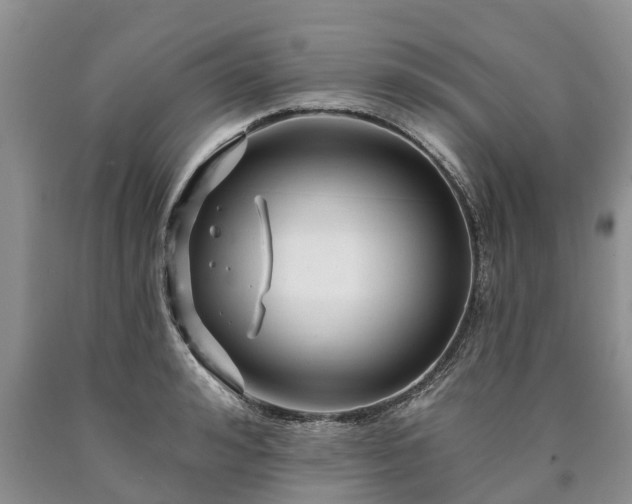 X0000090610992200707241103