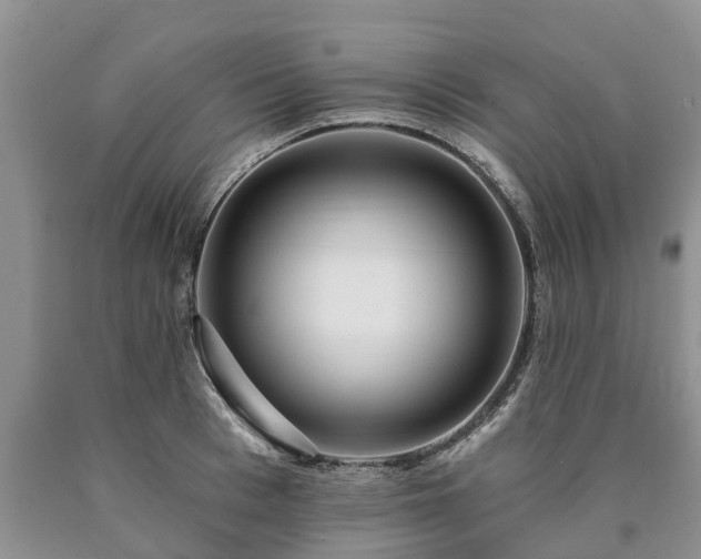 X0000090610993200707241103