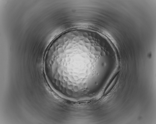 X0000090610994200707241103