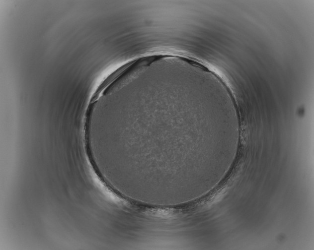 X0000090610995200707241103