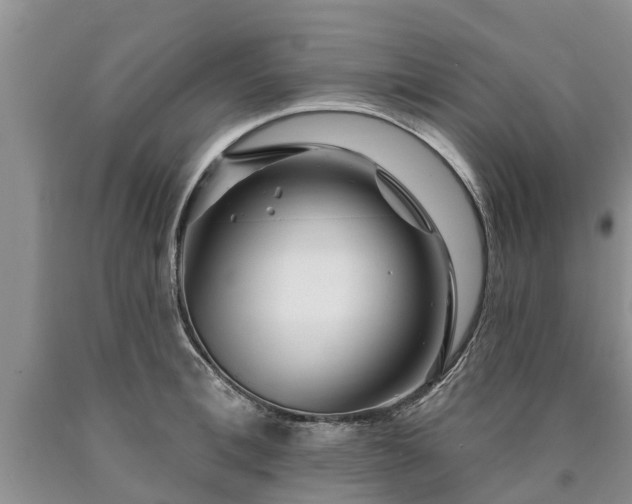 X0000090610996200707241103