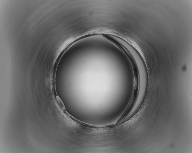 X0000090610997200707241103