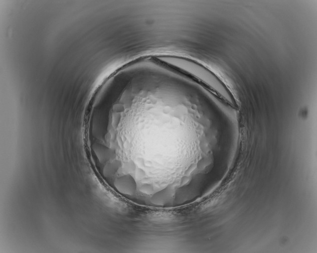 X0000090610998200707241103