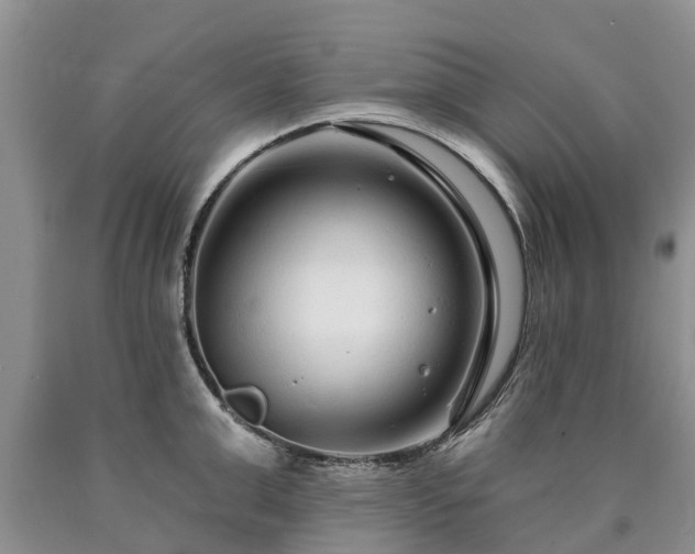 X0000090610999200707241102