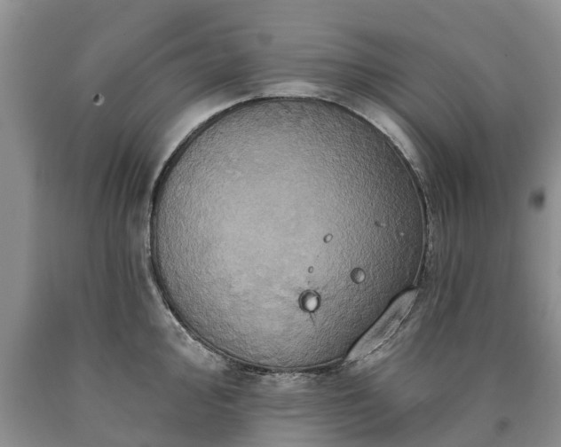 X0000090611000200707241102