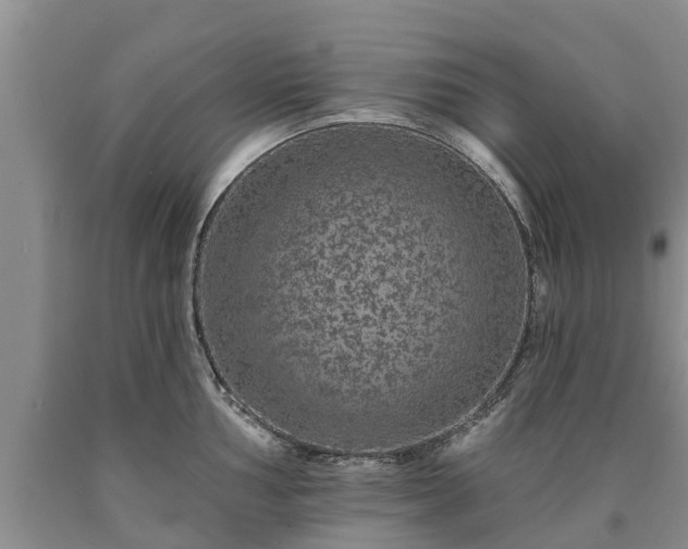 X0000090611002200707241102