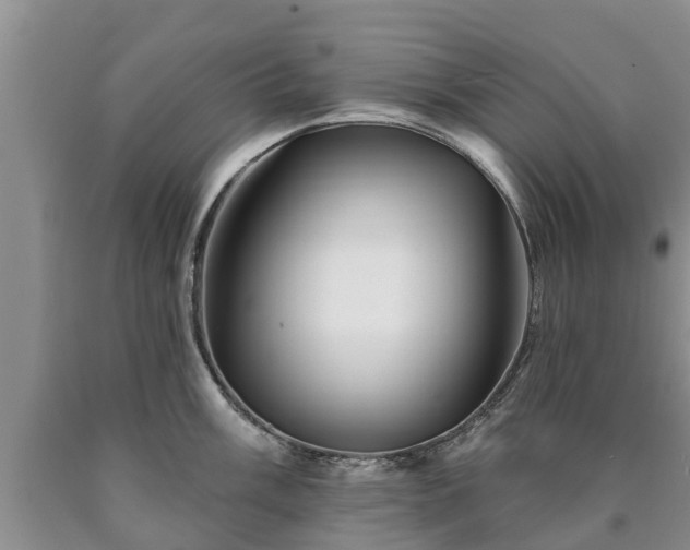 X0000090611003200707241102