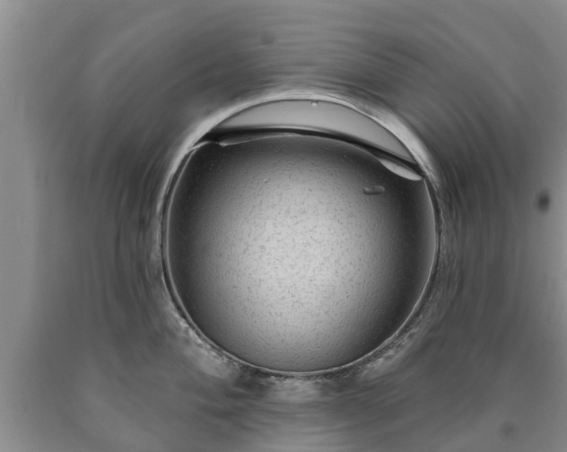 X0000090611004200707241102