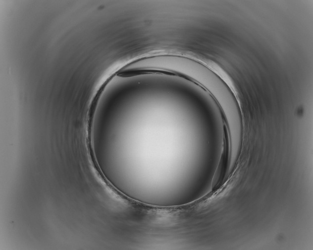 X0000090611005200707241102