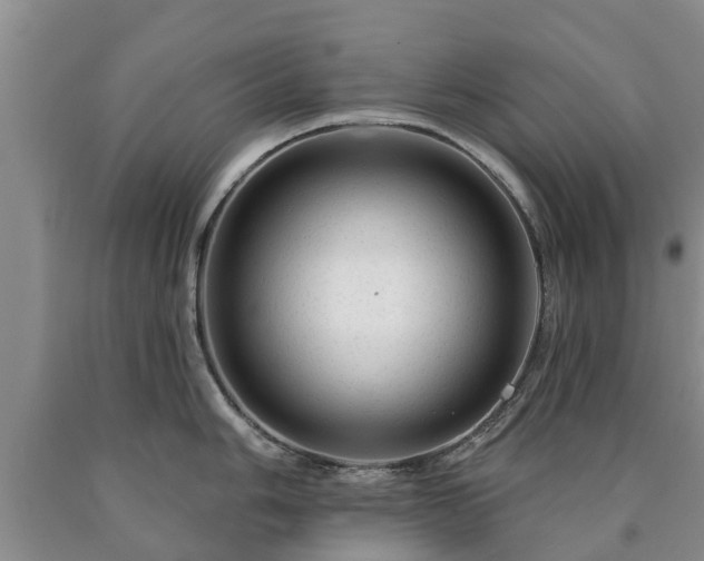 X0000090611006200707241102