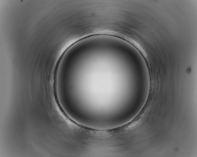 X0000090611007200707241102