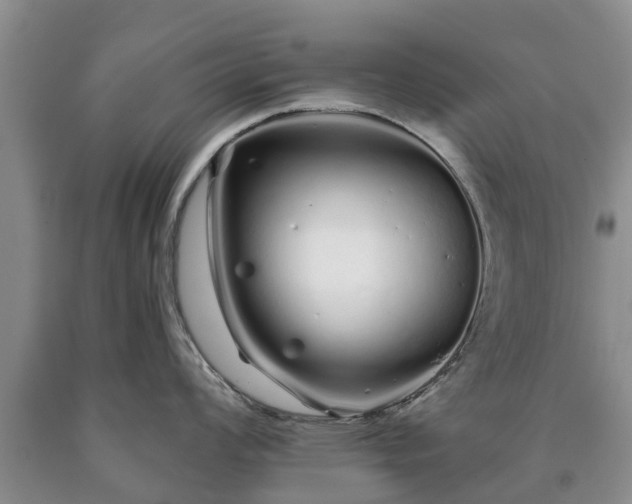 X0000090611008200707241102