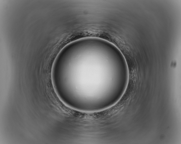 X0000090611009200707241102