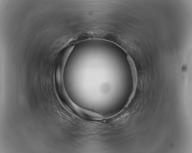 X0000090611010200707241102