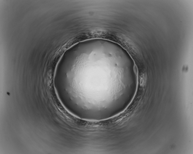 X0000090611011200707241102