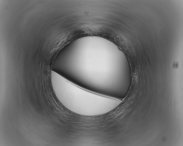 X0000090611012200707241102