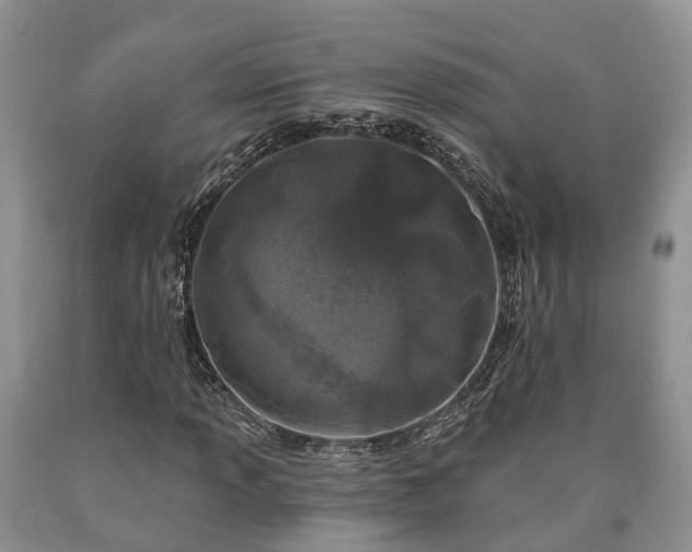 X0000090611013200707241102