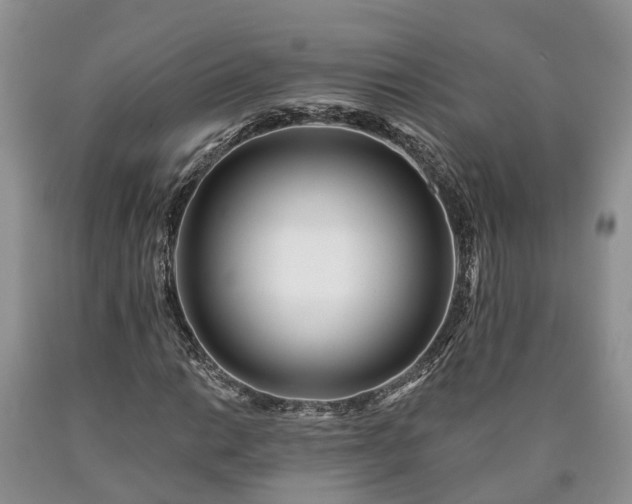 X0000090611014200707241102