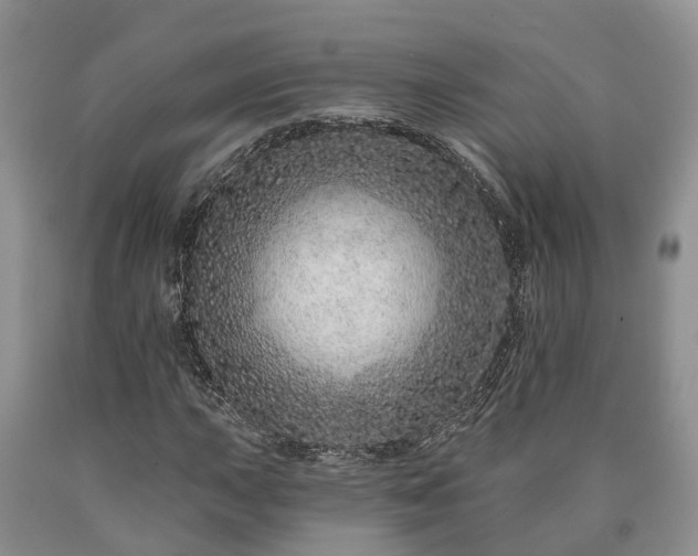 X0000090611015200707241102