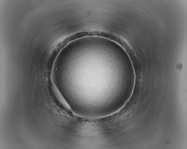 X0000090611016200707241102