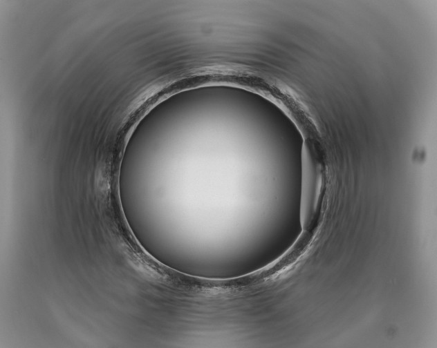 X0000090611017200707241102