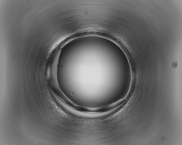 X0000090611018200707241102