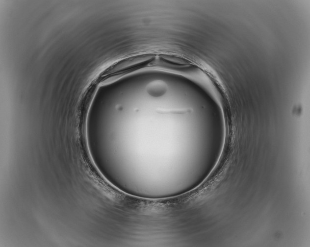 X0000090611019200707241102