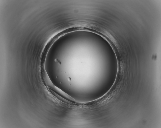 X0000090611020200707241102