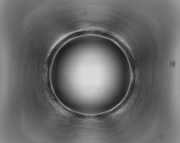 X0000090611021200707241102