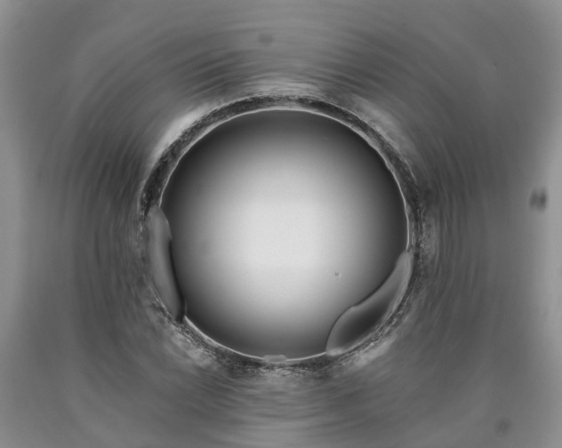 X0000090611022200707241102