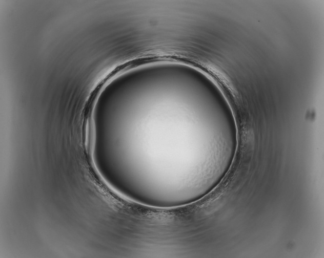 X0000090611023200707241102