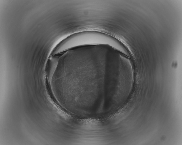 X0000090611024200707241102