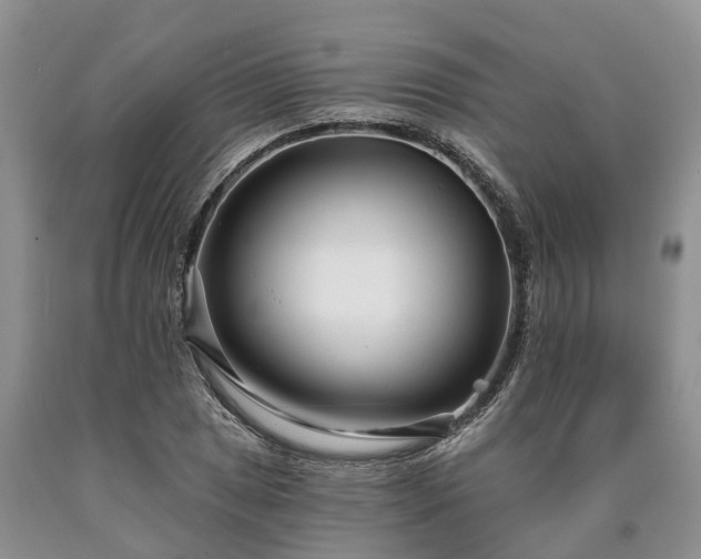 X0000090611025200707241102