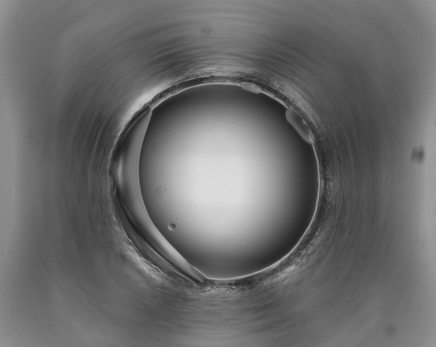 X0000090611026200707241102